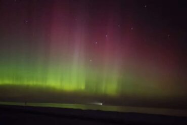 Einen Garten zu haben….