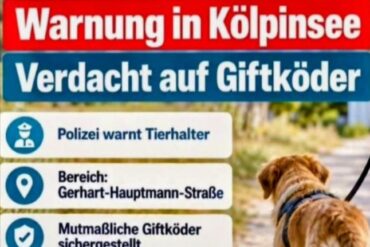 MODERNE SKLAVEREI – Wir nennen es Freiheit, doch wie frei sind wir wirklich?